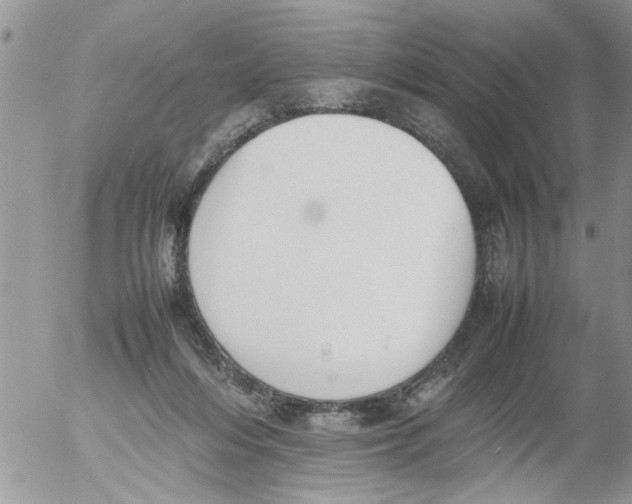 X0000054430216200508262355