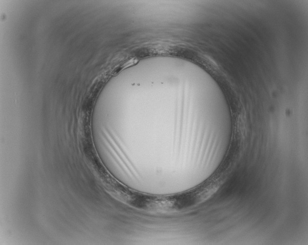 X0000054430217200508262355