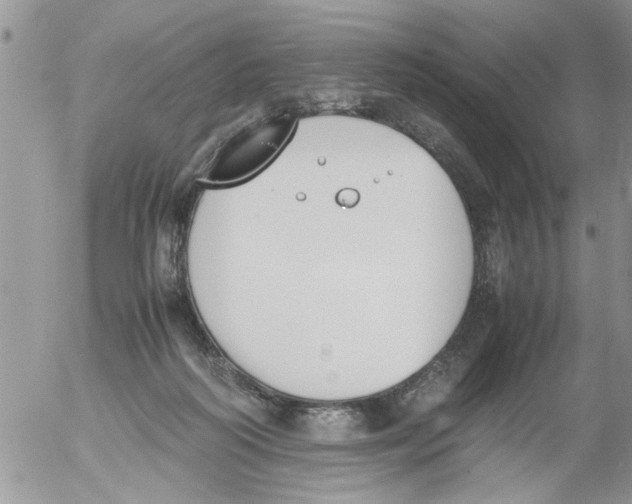 X0000054430218200508262355