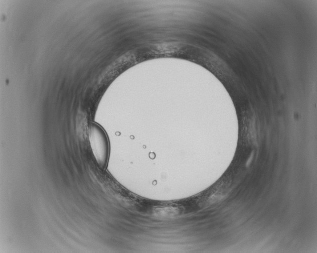 X0000054430220200508262355