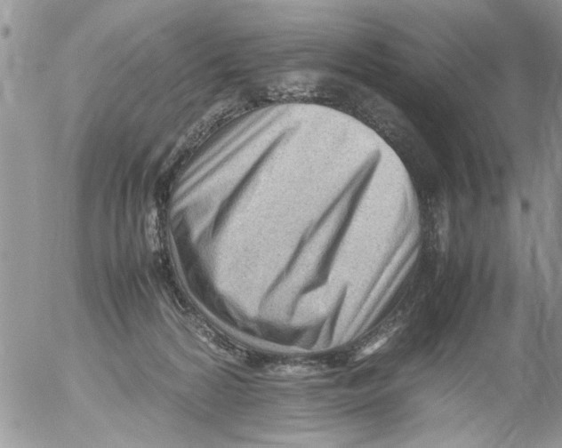 X0000054430224200508262355