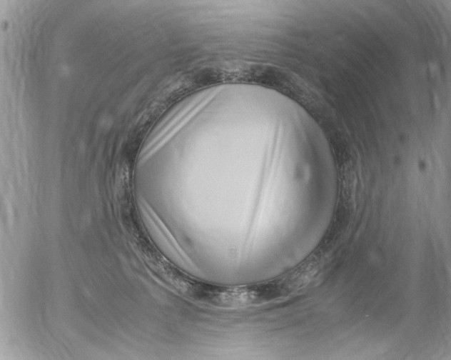 X0000054430225200508262355