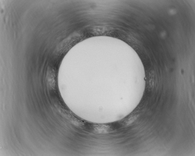 X0000054430226200508262355