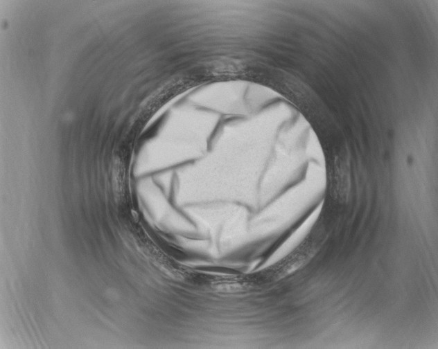 X0000054430228200508262355