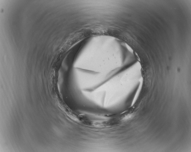 X0000054430229200508262355