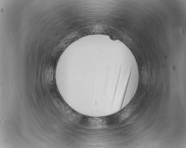 X0000054430230200508262355