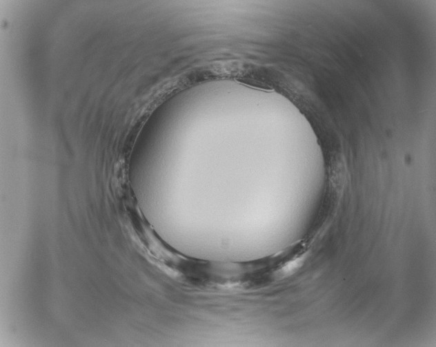 X0000054430233200508262355