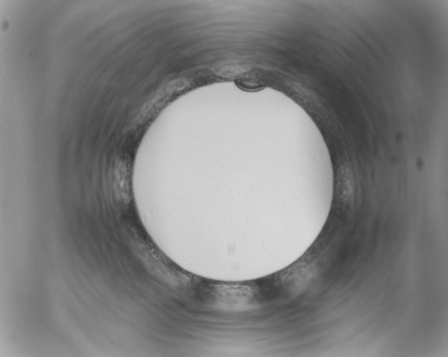 X0000054430234200508262355