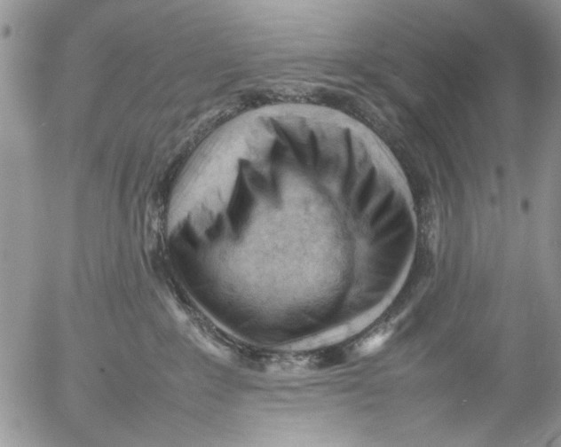 X0000054430235200508262355