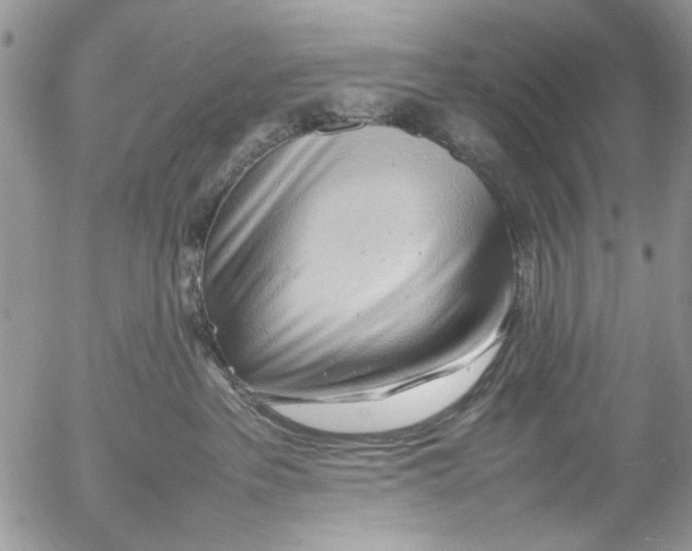 X0000054430237200508262355