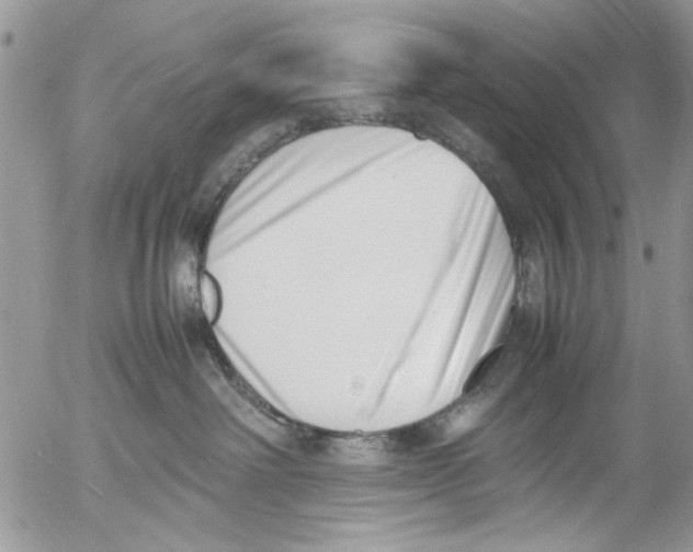 X0000054430238200508262355