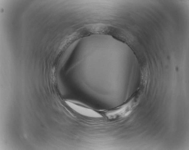 X0000054430239200508262355