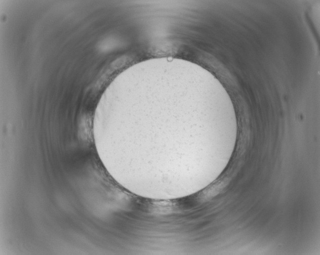 X0000054430240200508262355