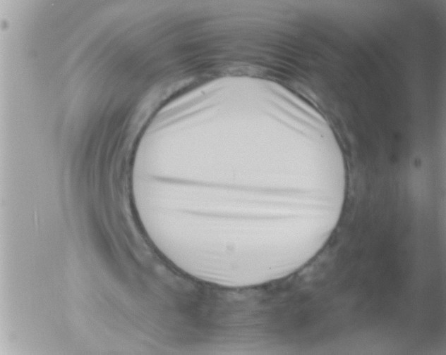 X0000054430241200508262354