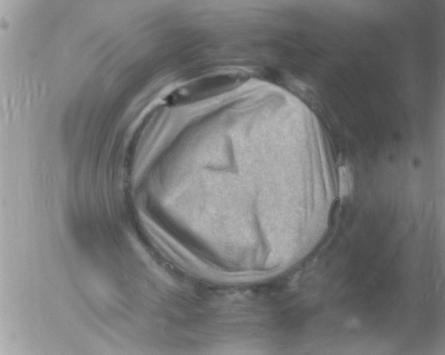 X0000054430243200508262354