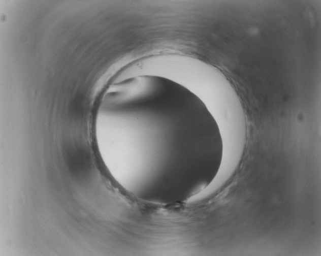 X0000054430244200508262354