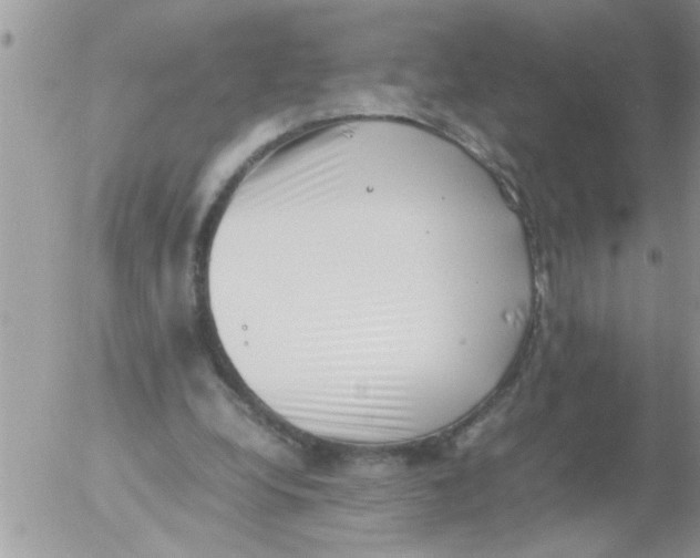 X0000054430248200508262354