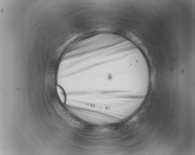 X0000054430249200508262354