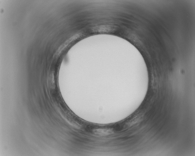 X0000054430251200508262354