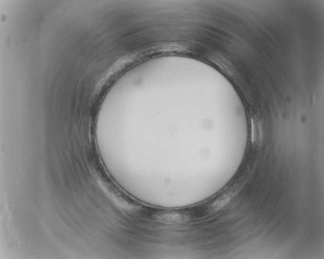 X0000054430253200508262355