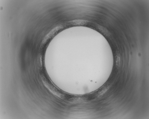 X0000054430254200508262355