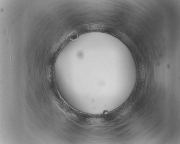 X0000054430255200508262355