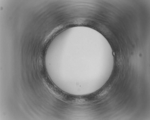 X0000054430256200508262355