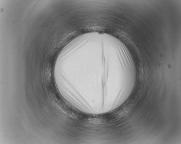 X0000054430259200508262355