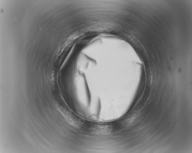 X0000054430260200508262355