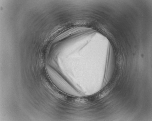 X0000054430261200508262355