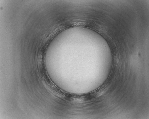 X0000054430263200508262355