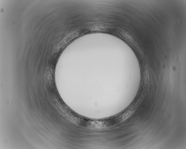 X0000054430265200508262355