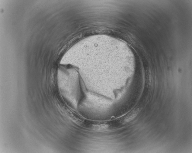 X0000054430266200508262355