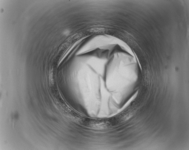 X0000054430267200508262355