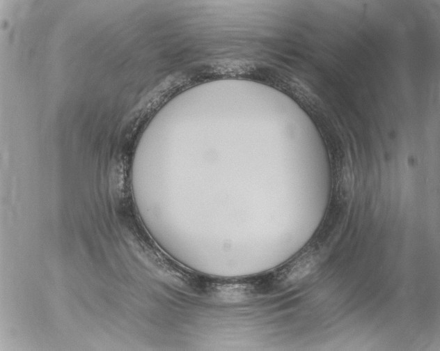 X0000054430268200508262355