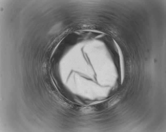 X0000054430269200508262355