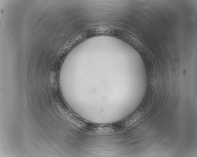 X0000054430270200508262355