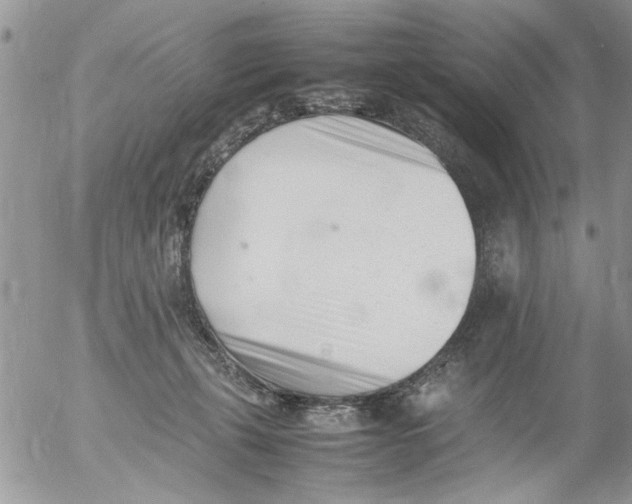 X0000054430271200508262355