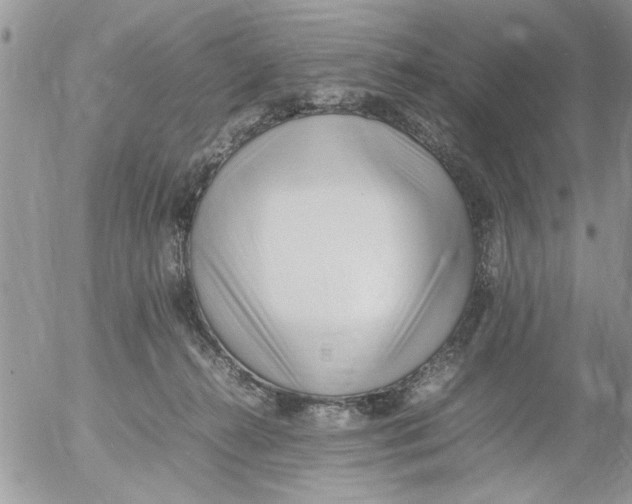 X0000054430272200508262355