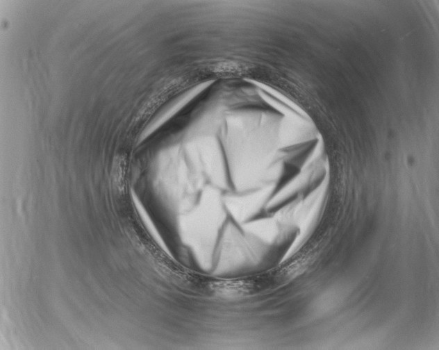 X0000054430273200508262355