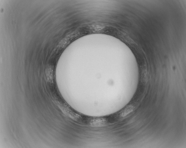 X0000054430274200508262355