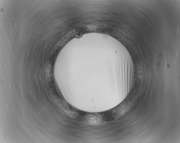 X0000054430275200508262355