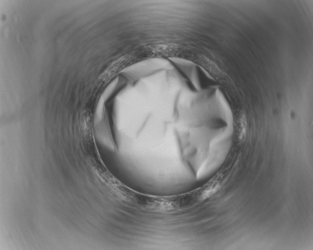 X0000054430276200508262355