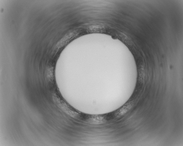 X0000054430278200508262355