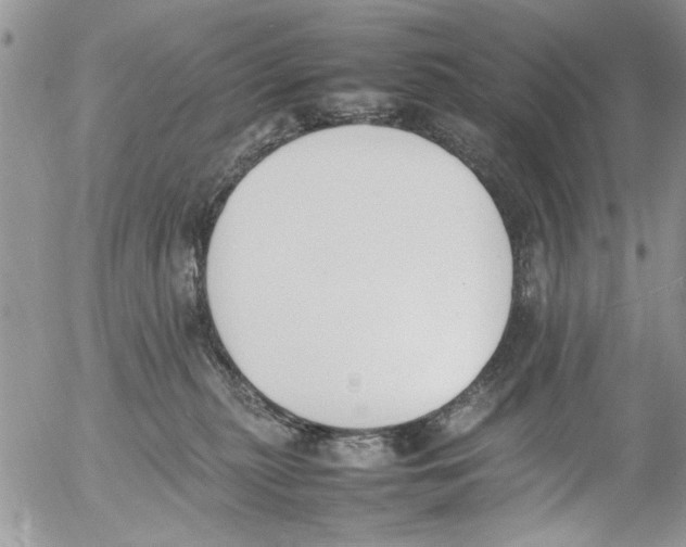 X0000054430279200508262355