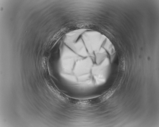 X0000054430280200508262355