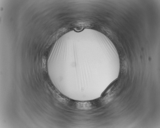 X0000054430281200508262355