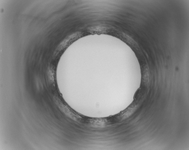 X0000054430282200508262355