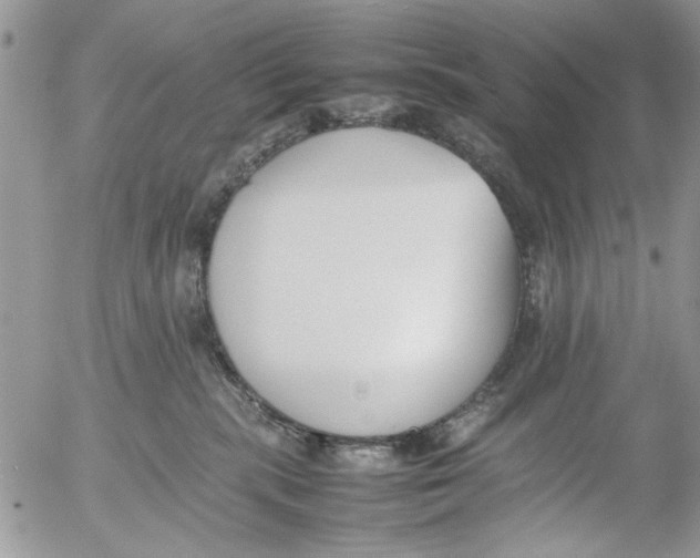 X0000054430283200508262355