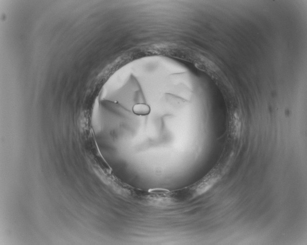 X0000054430284200508262355